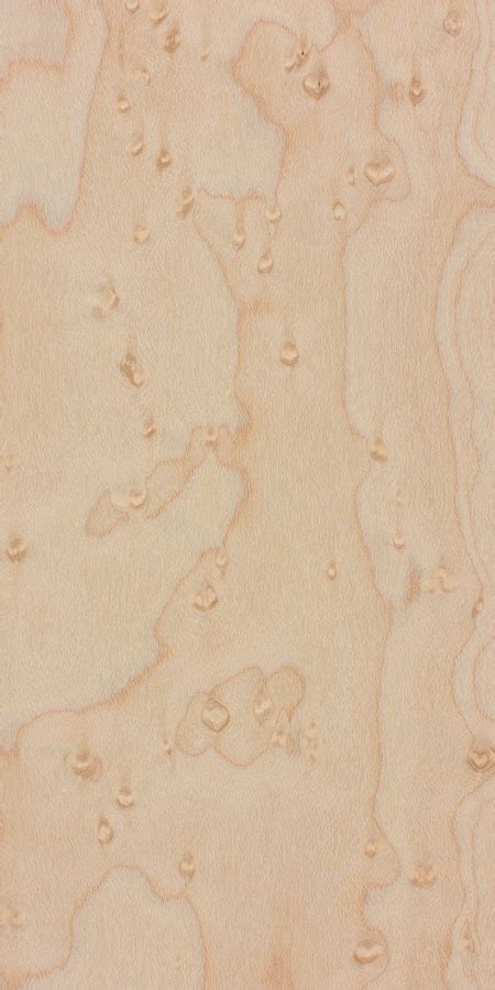 bird's eye view meaning|where does birdseye maple grow.